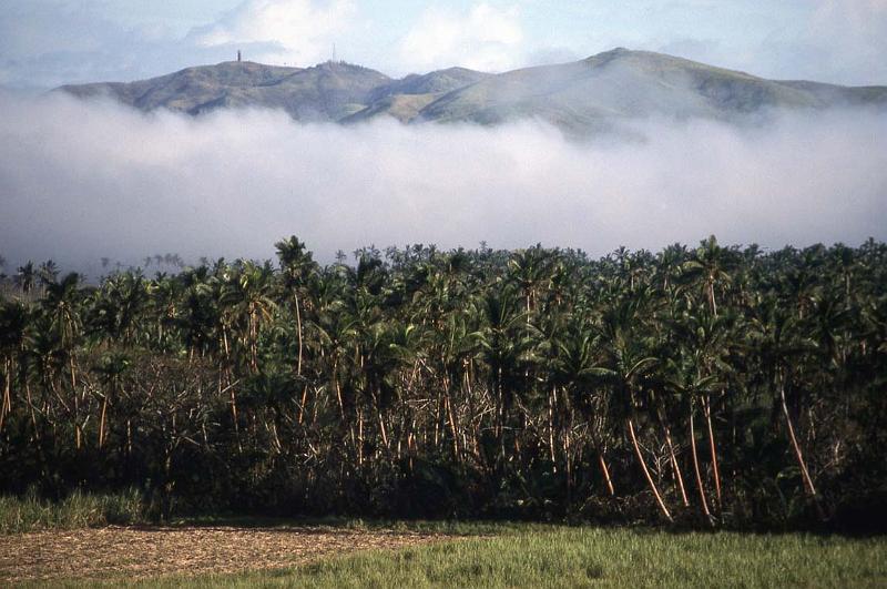 RWT 0020 006-08 Fiji.jpg